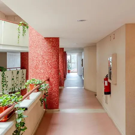 Ocean Bliss - & Bbq شقة فيانا دو كاستيلو