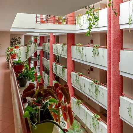 Ocean Bliss - & Bbq *