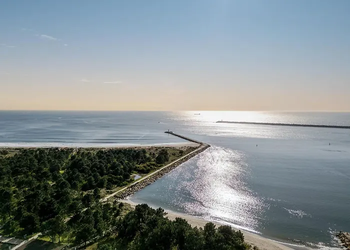 Ocean Bliss - & Bbq Apartment