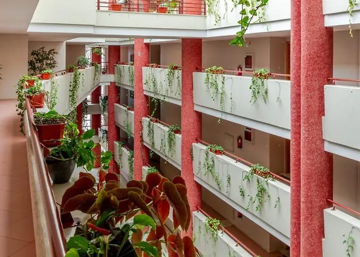 Ocean Bliss - & Bbq *