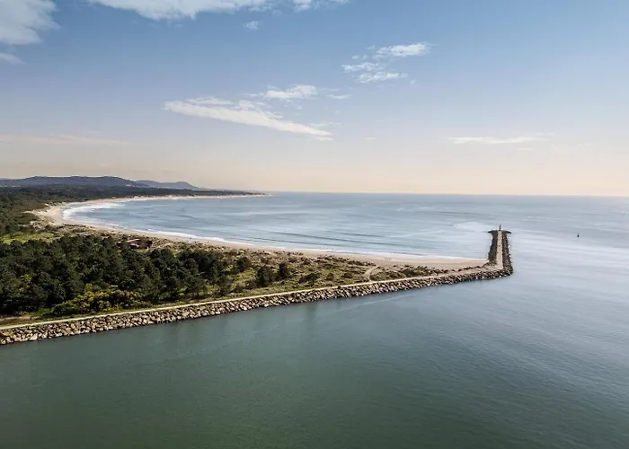 Ocean Bliss - & Bbq Apartment *